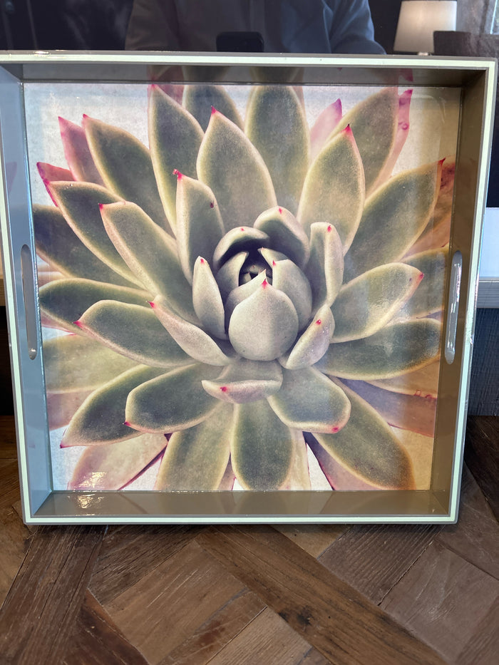 SERVING TRAY SUCCULENT MOTIF
