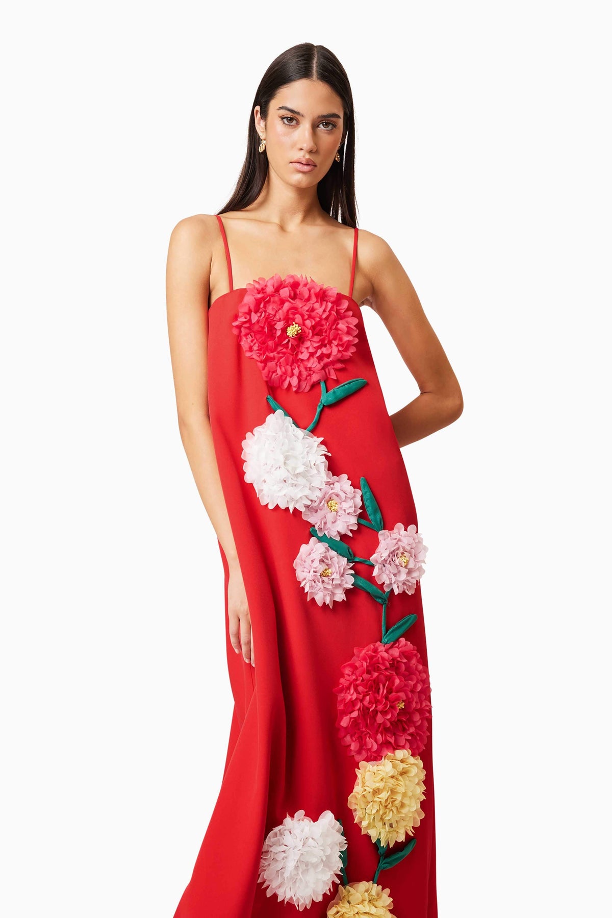 Buttercup Embroidered Maxi Dress In Red