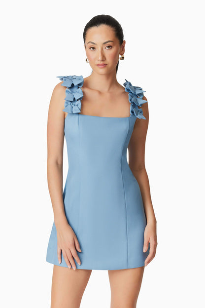 Celia Mini Dress in Blue