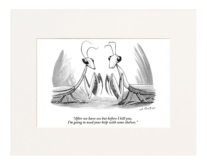 "After we have sex but before I kill you, I'm going to need your help with some shelves." (Two praying mantises facing each other.)