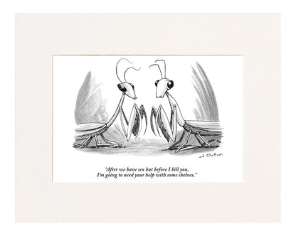 "After we have sex but before I kill you, I'm going to need your help with some shelves." (Two praying mantises facing each other.)