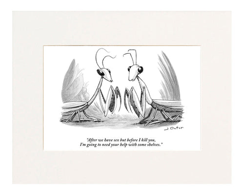 "After we have sex but before I kill you, I'm going to need your help with some shelves." (Two praying mantises facing each other.)