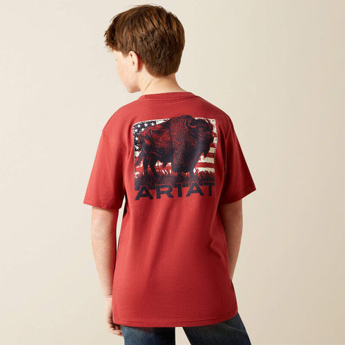 Ariat Youth Boy's S/S Buffalo Graphic T-Shirt in Brick Red