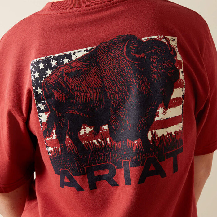 Ariat Youth Boy's S/S Buffalo Graphic T-Shirt in Brick Red