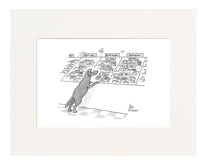 (A dog is looking at a series of greeting cards under the Birthday category and they are all sectioned off in dog years, ie: 7 years, 14 years, 21 years, etc.)
