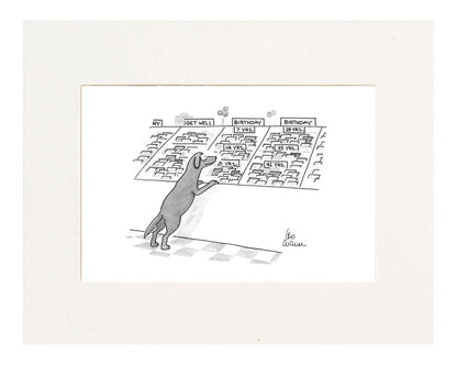 (A dog is looking at a series of greeting cards under the Birthday category and they are all sectioned off in dog years, ie: 7 years, 14 years, 21 years, etc.)