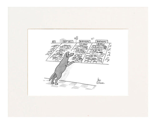 (A dog is looking at a series of greeting cards under the Birthday category and they are all sectioned off in dog years, ie: 7 years, 14 years, 21 years, etc.)