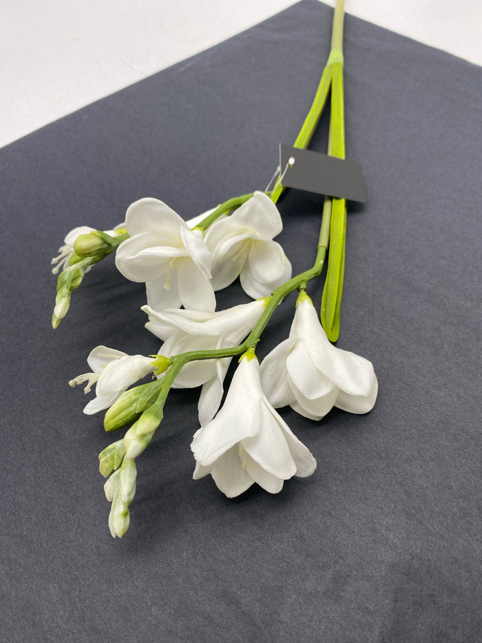FREESIA STEM WHITE REAL TOUCH 21"