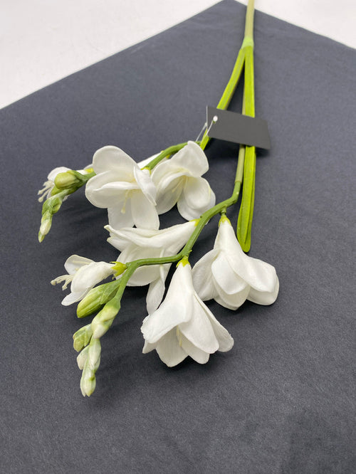 FREESIA STEM WHITE REAL TOUCH 21"