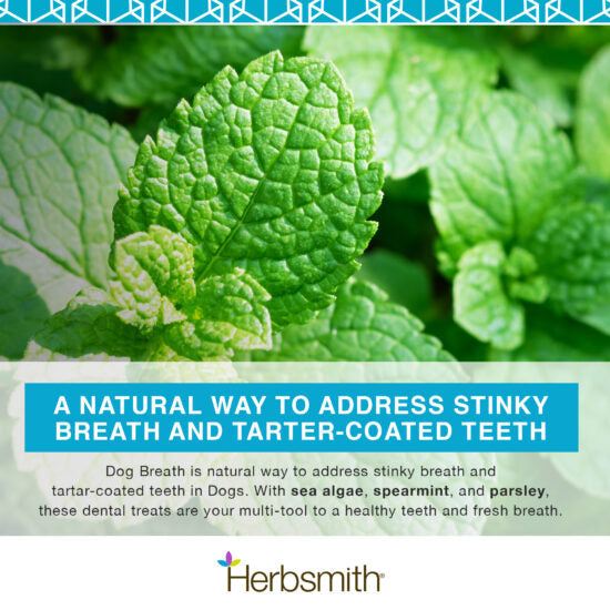 Herbsmith Dog Breath Powder Supplement