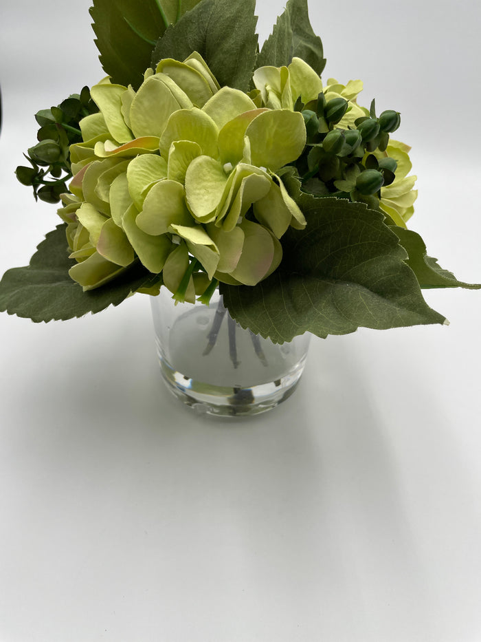 HYDRANGEA IN VASE