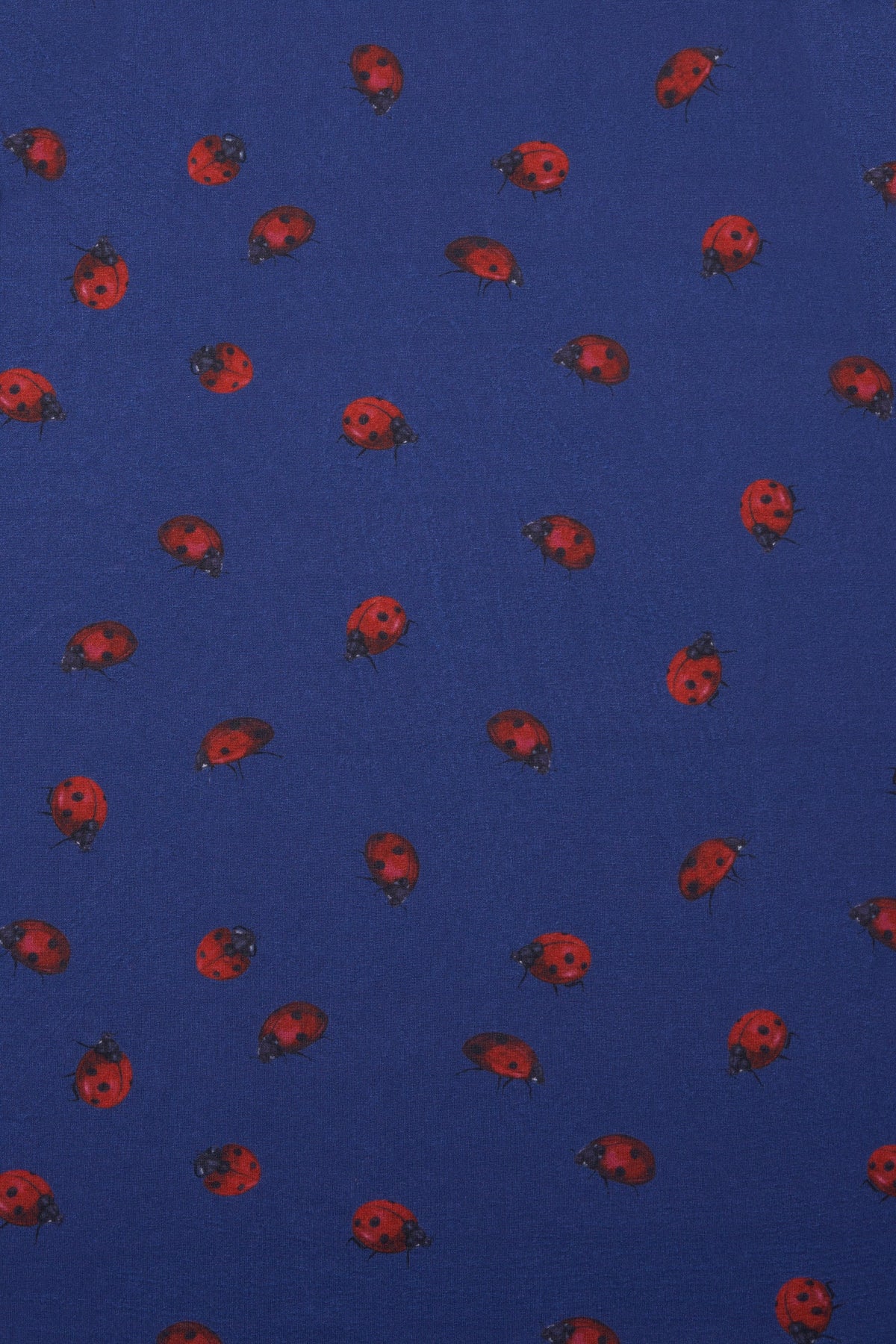 Kids Claudia Ladybug Navy Dress