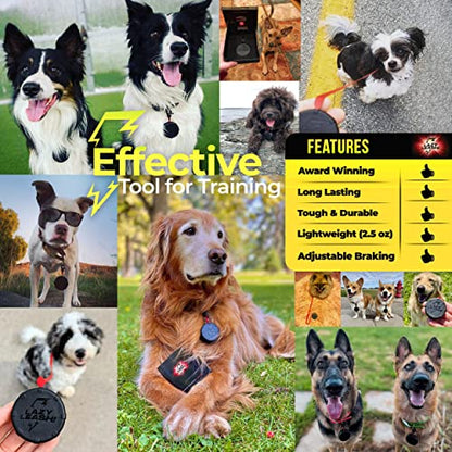 Lazy Leash Mini Wearable Power Leash - Paw Naturals