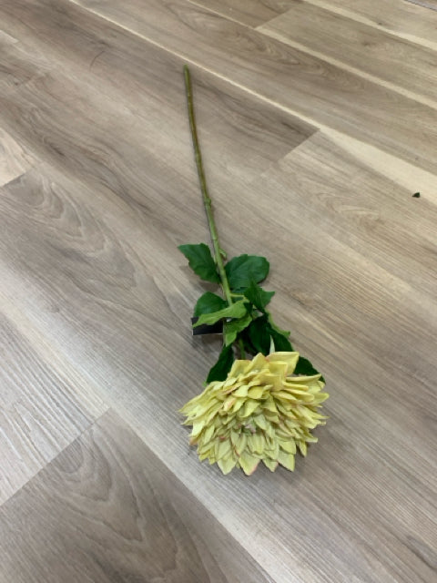LIGHT GREEN AND PINK DAHLIA STEM 29"
