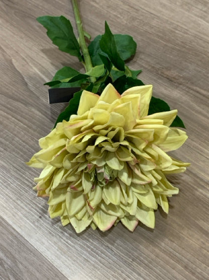 LIGHT GREEN AND PINK DAHLIA STEM 29"