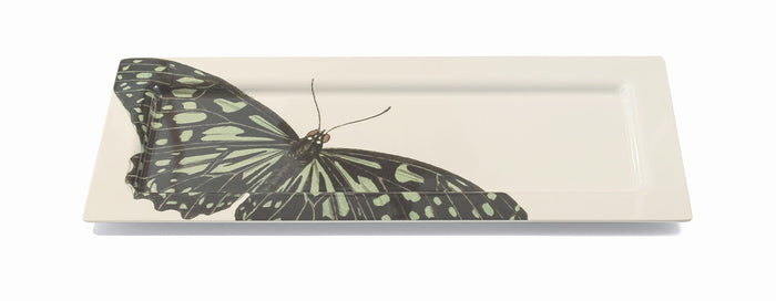 METAMORPHOSIS FLIGHT XL PLATTER