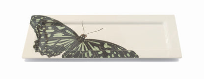 METAMORPHOSIS FLIGHT XL PLATTER