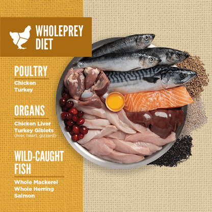 Orijen Amazing Grains Puppy Dry Dog Food