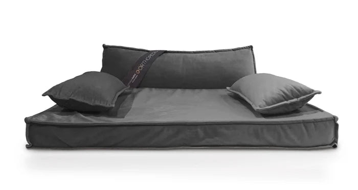 Precious Tails Modern Sofa Bed with Orthopedic Memory Foam