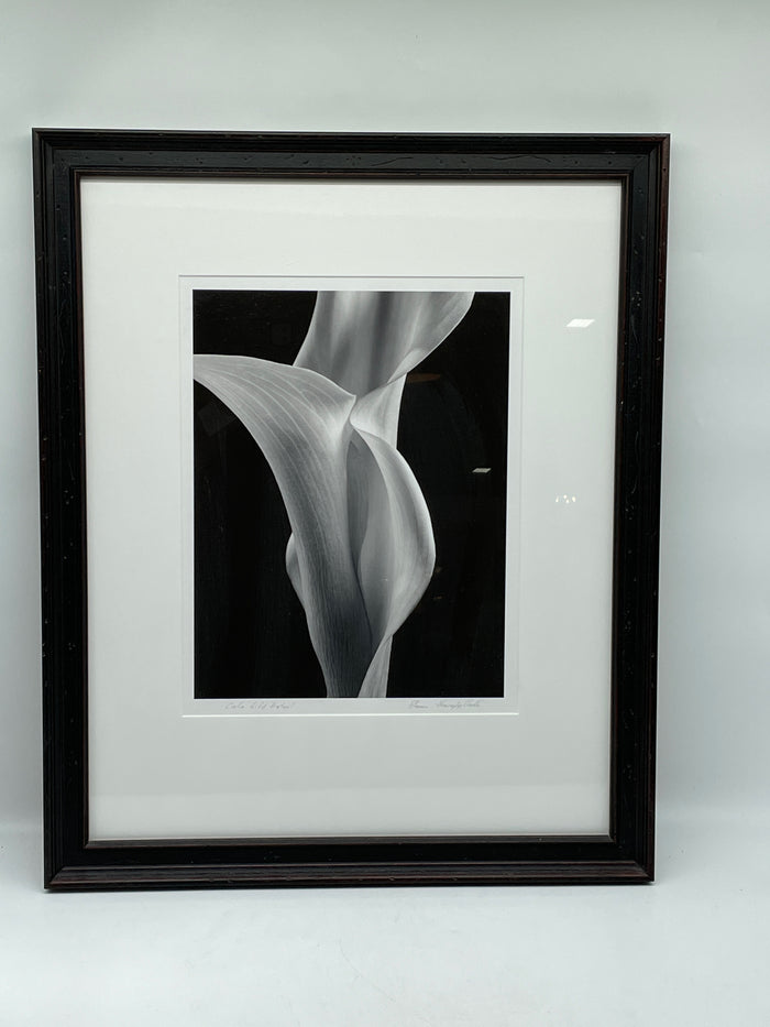 PRINT SET OF 3 BLACK AND WHITE LILIES  BLACK FRAME