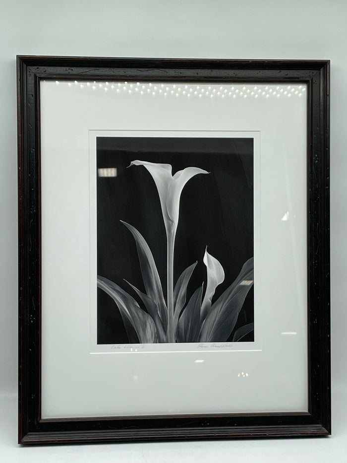 PRINT SET OF 3 BLACK AND WHITE LILIES  BLACK FRAME