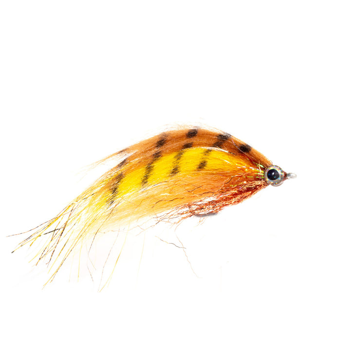Rio's Flashdance Fire Tiger 2/0