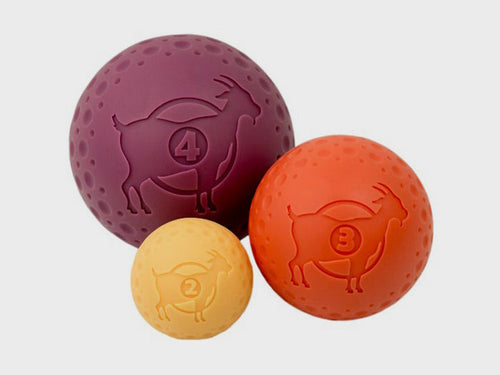 Tall Tails Goat Ball Dog Toy - Paw Naturals