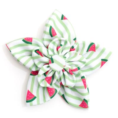 The Worthy Dog Green Stripe Watermelon Collection Flower