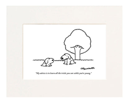 While You're Young Cartoon Print