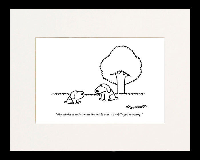 While You're Young Cartoon Print