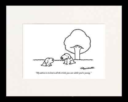 While You're Young Cartoon Print