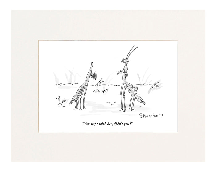 "You slept with her, didn't you?" (A praying mantis scolds her headless husband.)