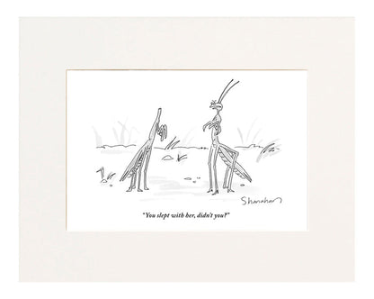 "You slept with her, didn't you?" (A praying mantis scolds her headless husband.)