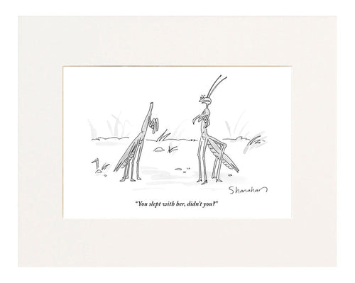"You slept with her, didn't you?" (A praying mantis scolds her headless husband.)